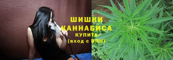 шишки Алзамай