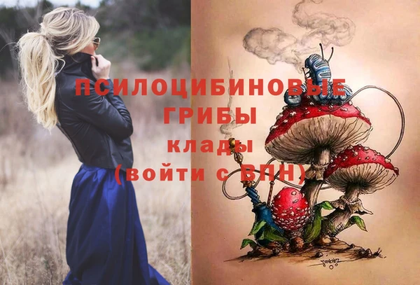 шишки Алзамай