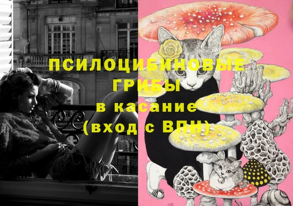 шишки Алзамай